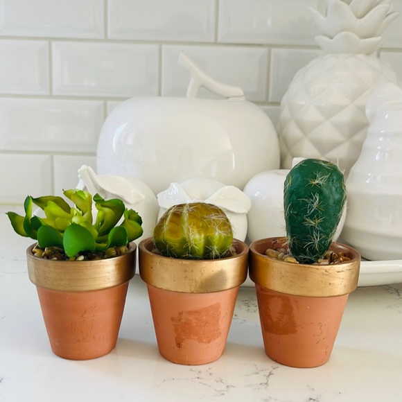 Pier 1 Other - Pier 1 set of three faux mini decorative cactus